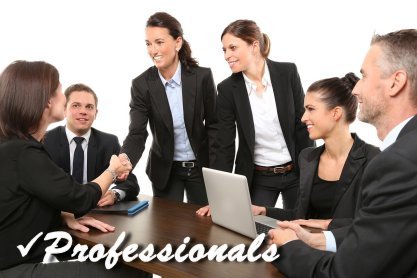 Professionals